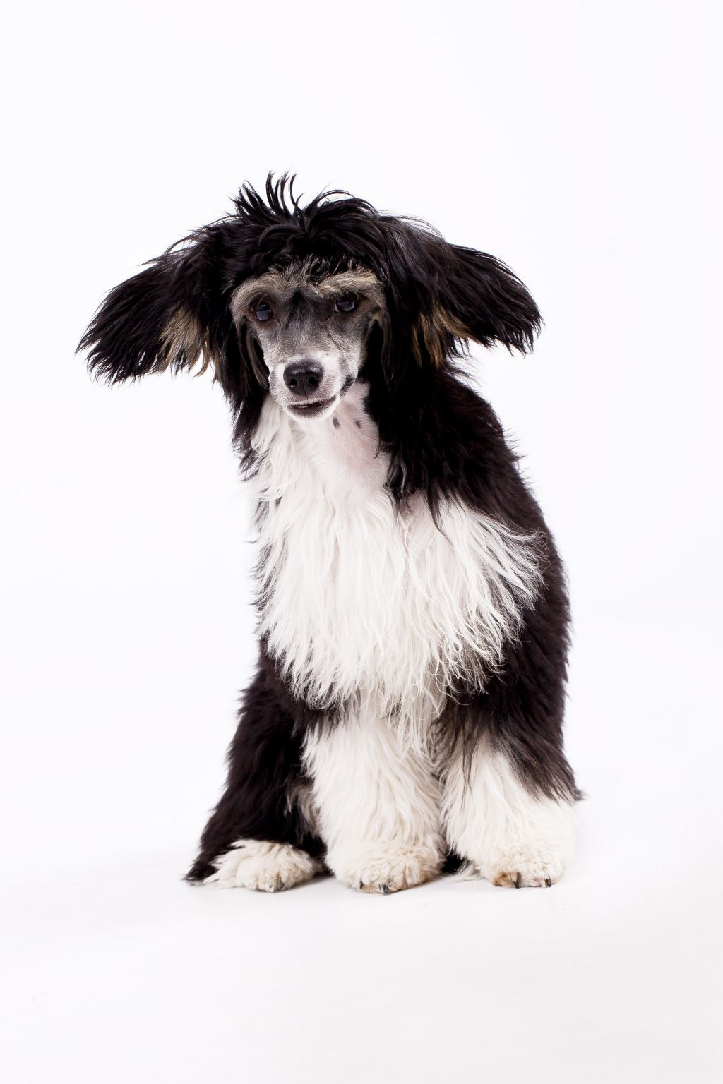 Arlette Légend de l'Amour