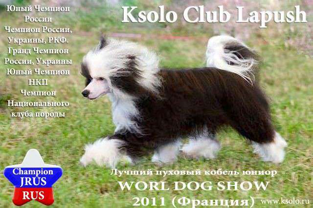Ksolo Club Lapush