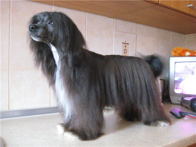 Best Boy Erily Mitau 