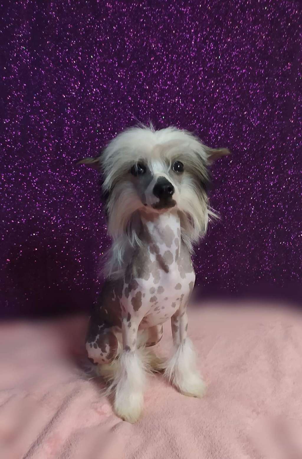 Obereg Grono Stefaniya