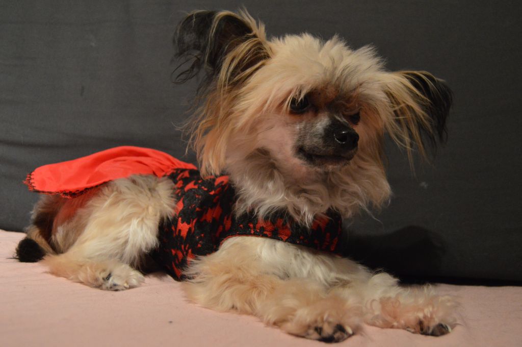 Mooncrystal's Afrodite