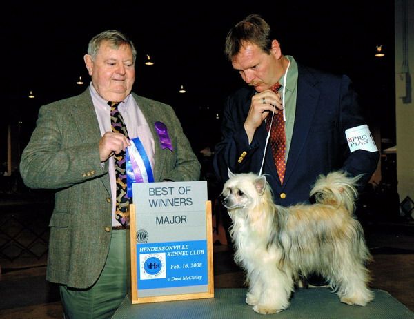 Jo-Bar's Summer Solstice