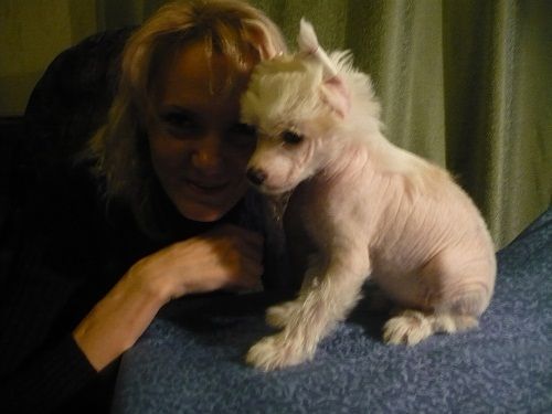 Golden of Ural Fortunash Damskiii Ugodnik