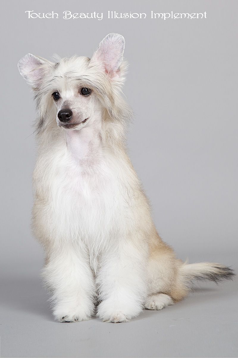 Touch Beauty Illusion Implement