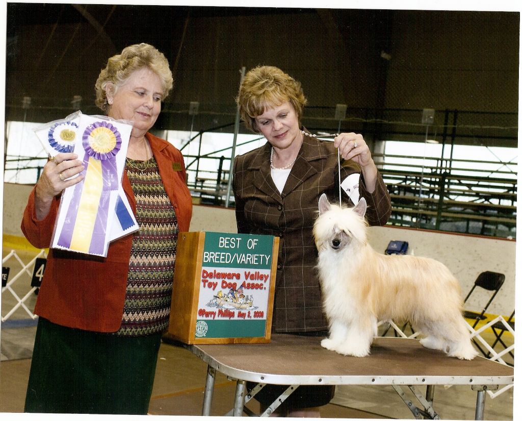 Heluja Lightening Strikes en Rogue