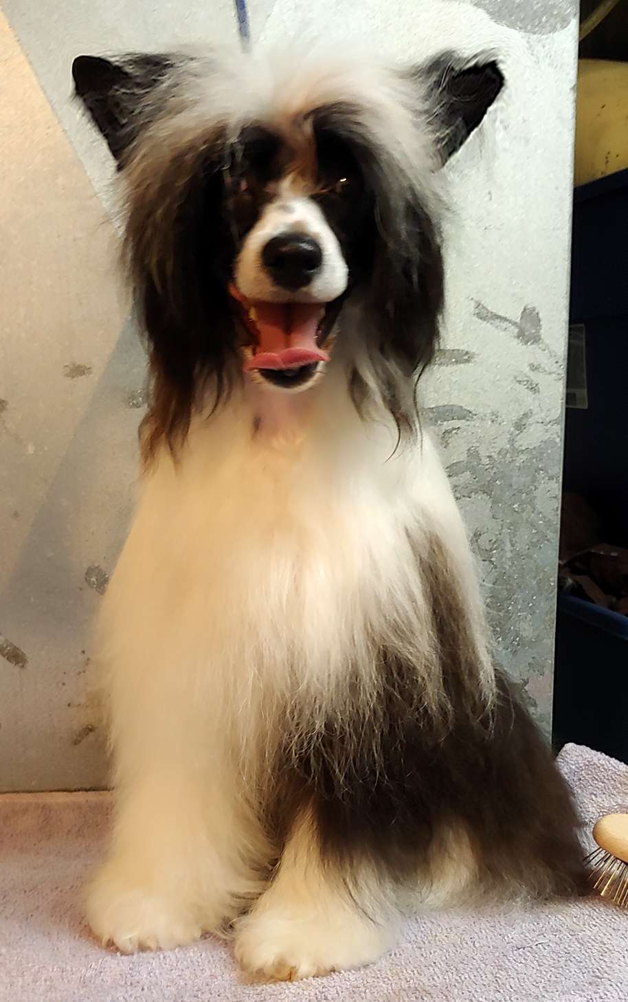 Mountain Meadows Breakin All TheRules