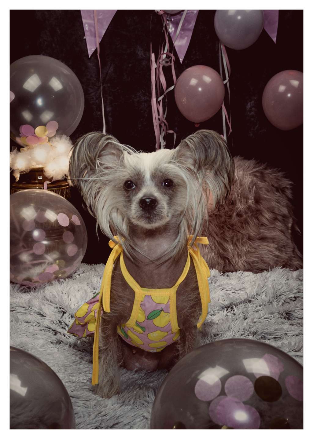 Andrakebyn's Lucy In The Sky