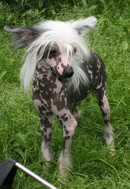 Ksolo Club Magura Niya