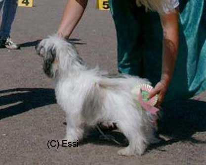 Just Call Me Miss Candy Kiss