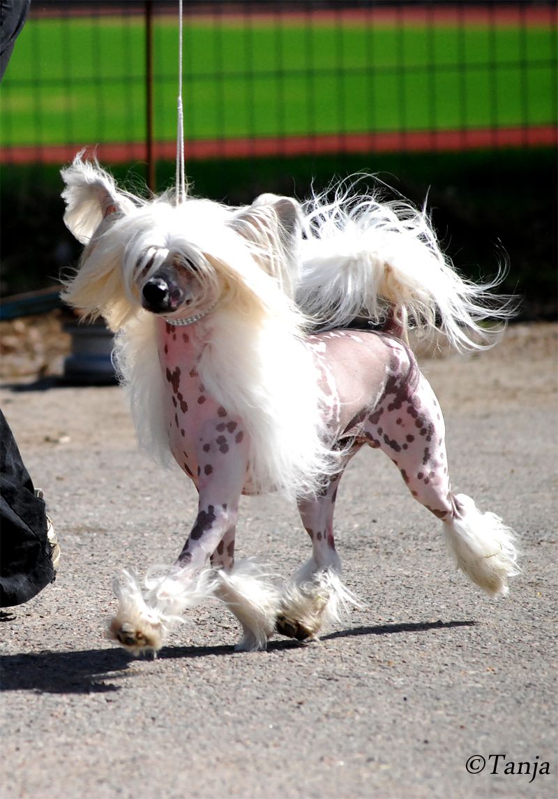 Joyway's Out Of The Blue