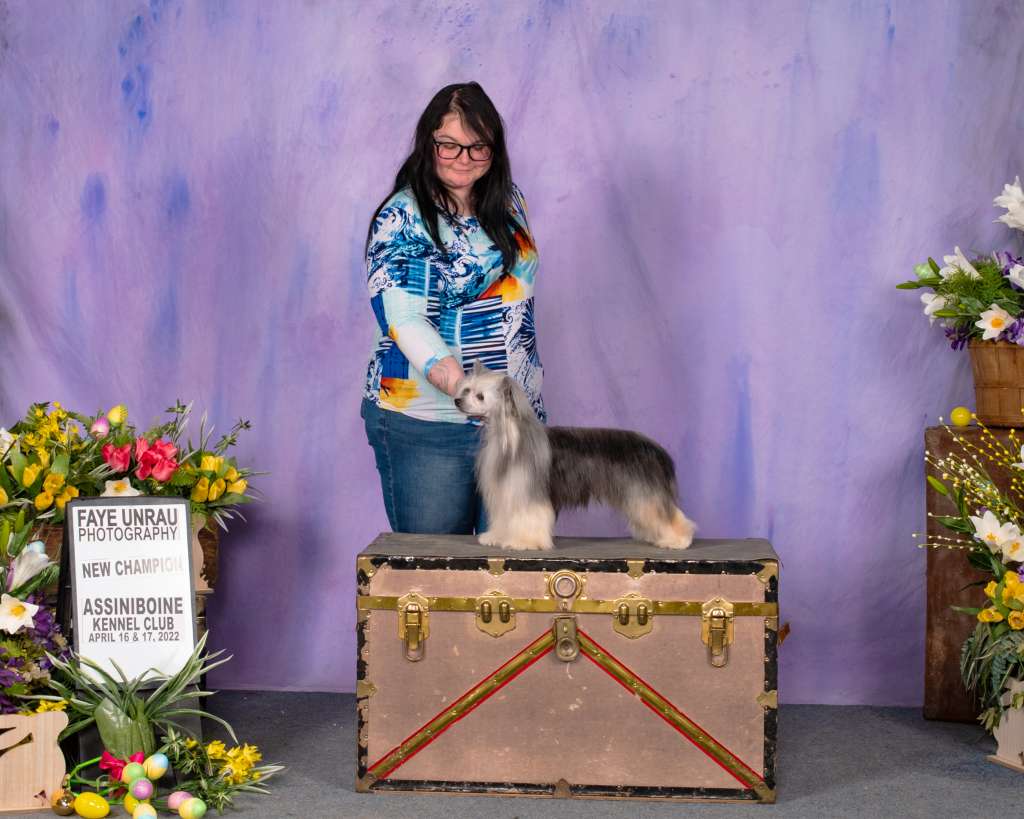 Wind, Closer to the Heart