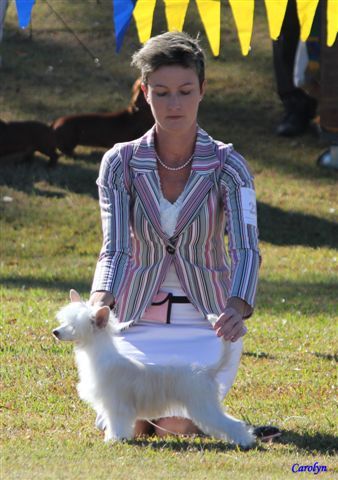 Karakush Puffy Th VampireSlayr