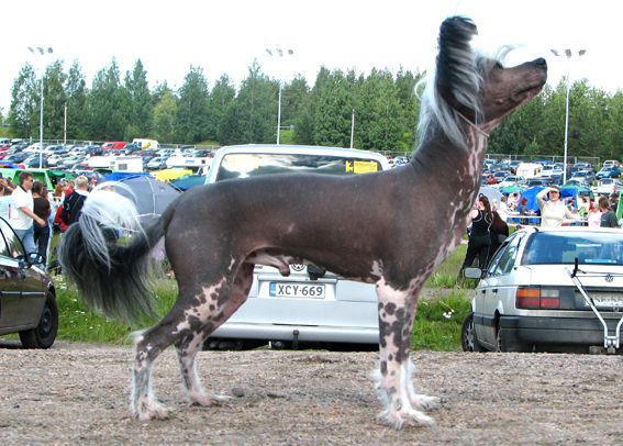 Arte Figure Art Deco