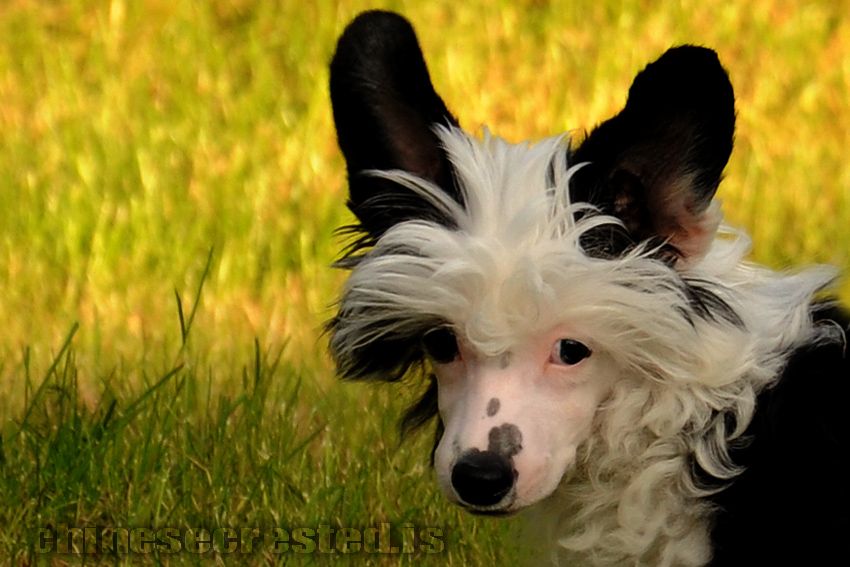 Practical Hero Kiss No Frog