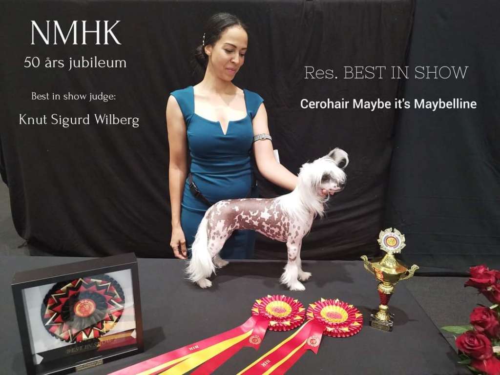 Cerohair maybe it's Maybellinne