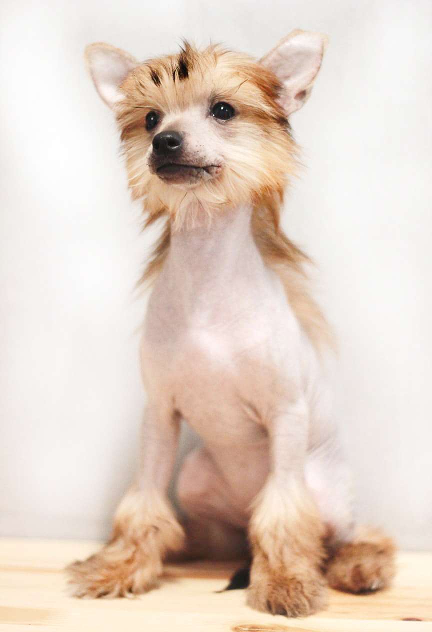 Ksolo Club Kalinka-Malinka