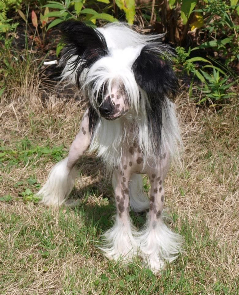 Mauvais the Edge of Glory