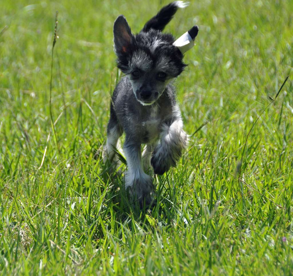 LaLunaBlu Madiba Magic