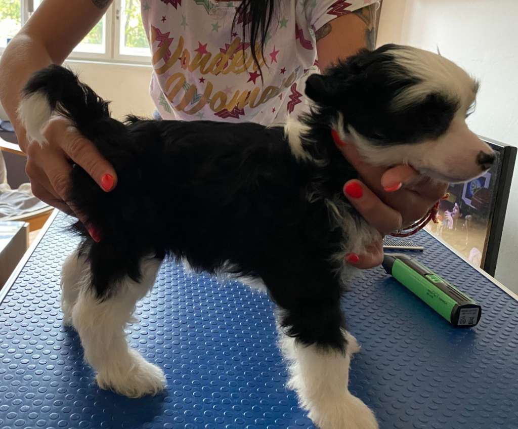 Berta From Buddha's home