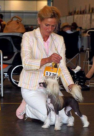 Allegoria  Lilia Modry Vanek