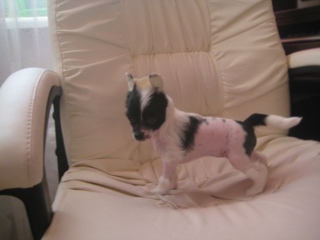 Lus'en EloksPerinayk in Life