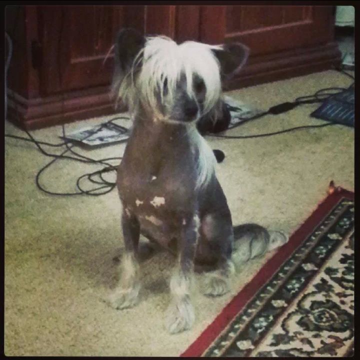 Entourage Creature Feature