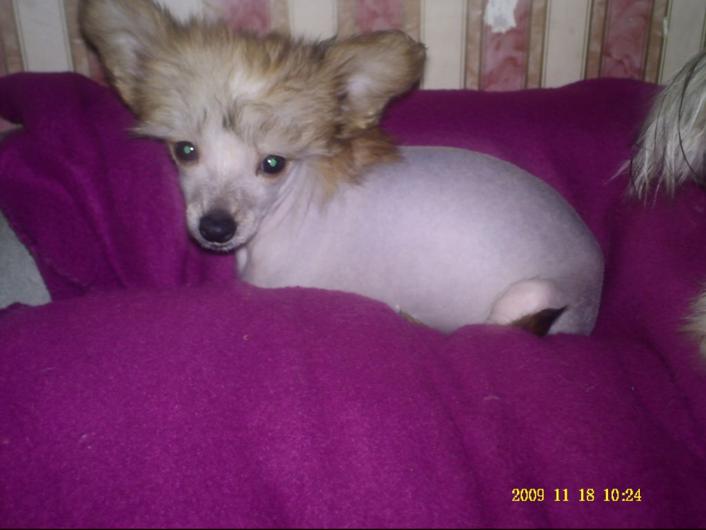 Didbairn Happiness at Zerachiel