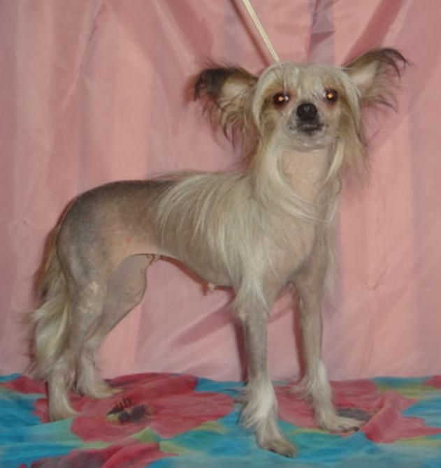 Naimuluna Line Una-Unika