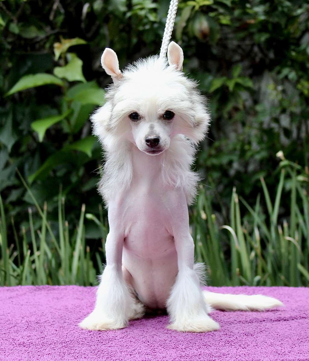 Naomi Im A Top Model (Cantarell/De la Garza)