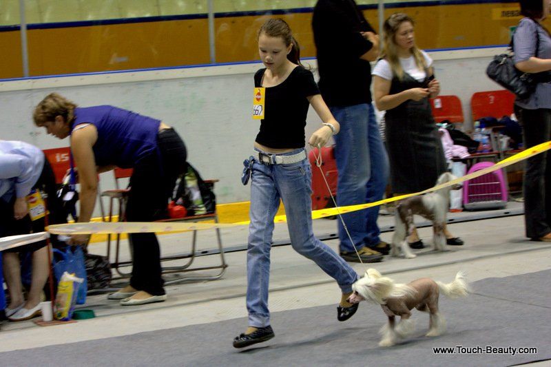 Yarik  Pokoritel' Serdets