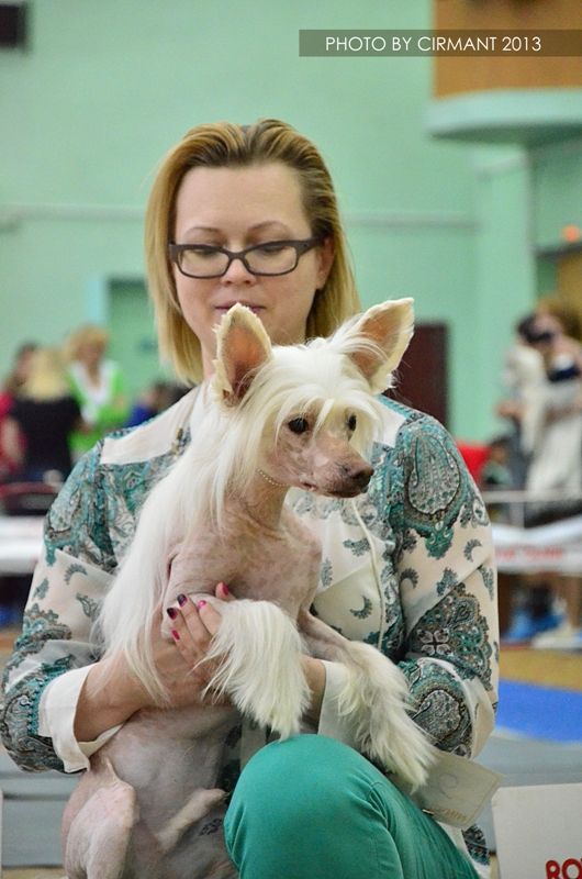 My Lucky Love Ichiro