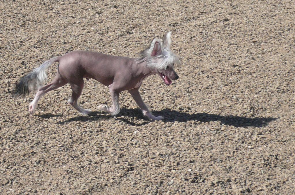 Nina's K Wireless Connection