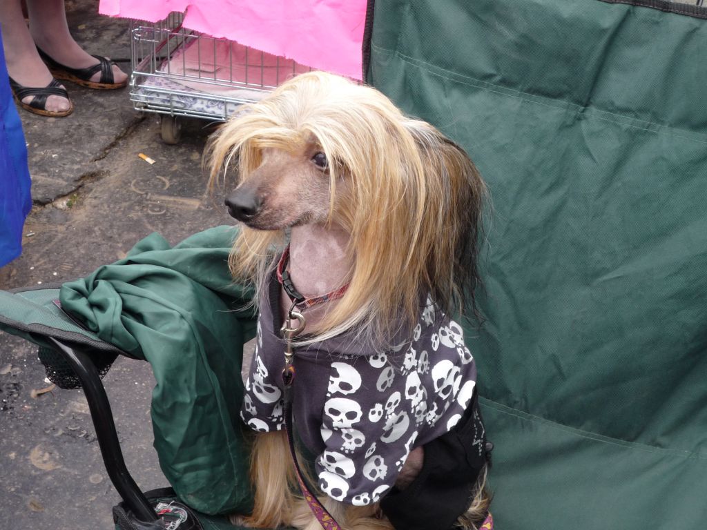 Biscuit Surabaya - Lahore