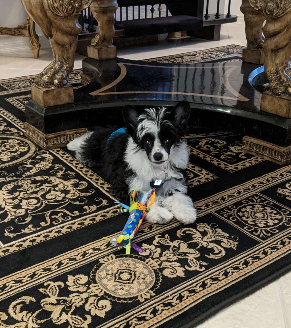 Marquis Gotta Love Life