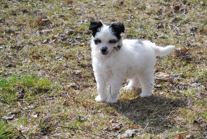 Unearthly Lady Epocha