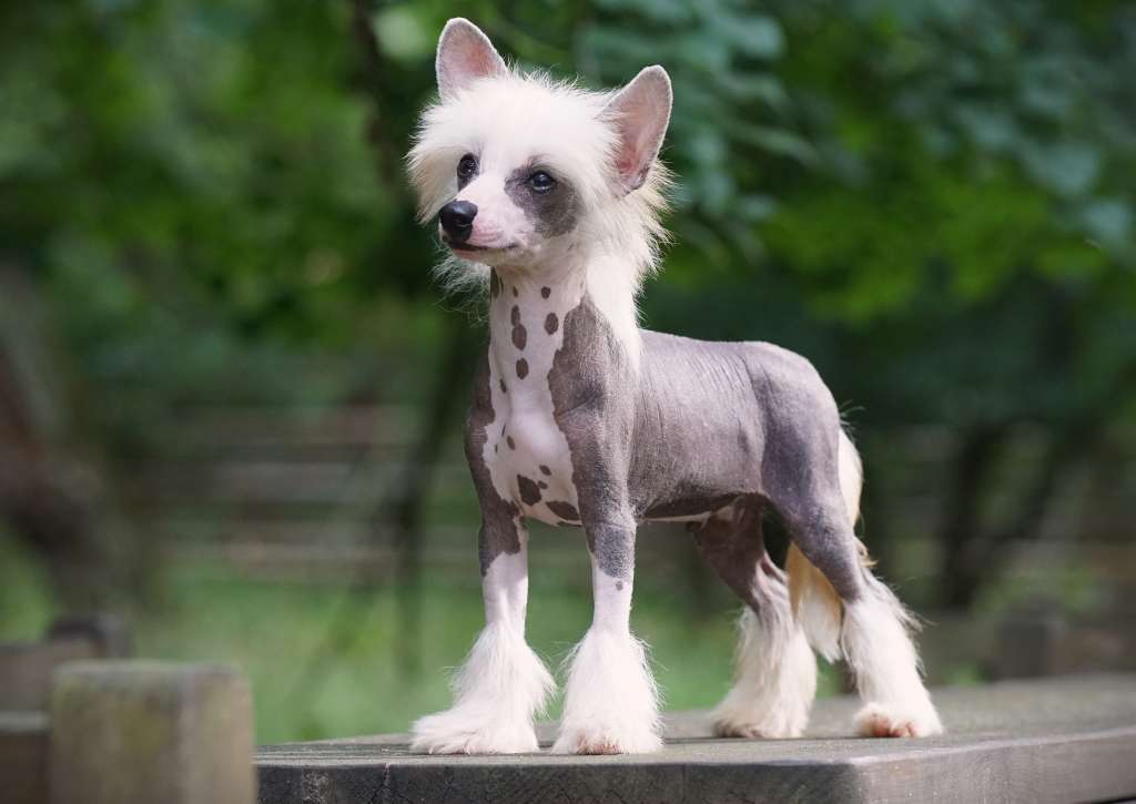 Believe I Can Fly Heybett