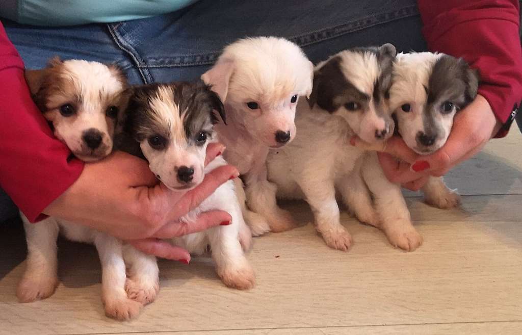 Mooncrystal's Give Me The World