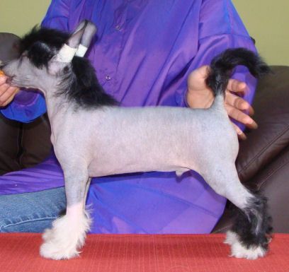 RyLaur's Lookin' For A Good Time