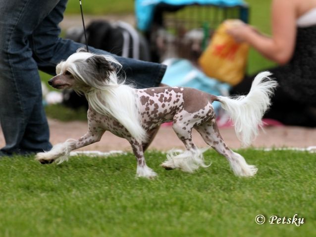 Zodellin Back To Your Heart