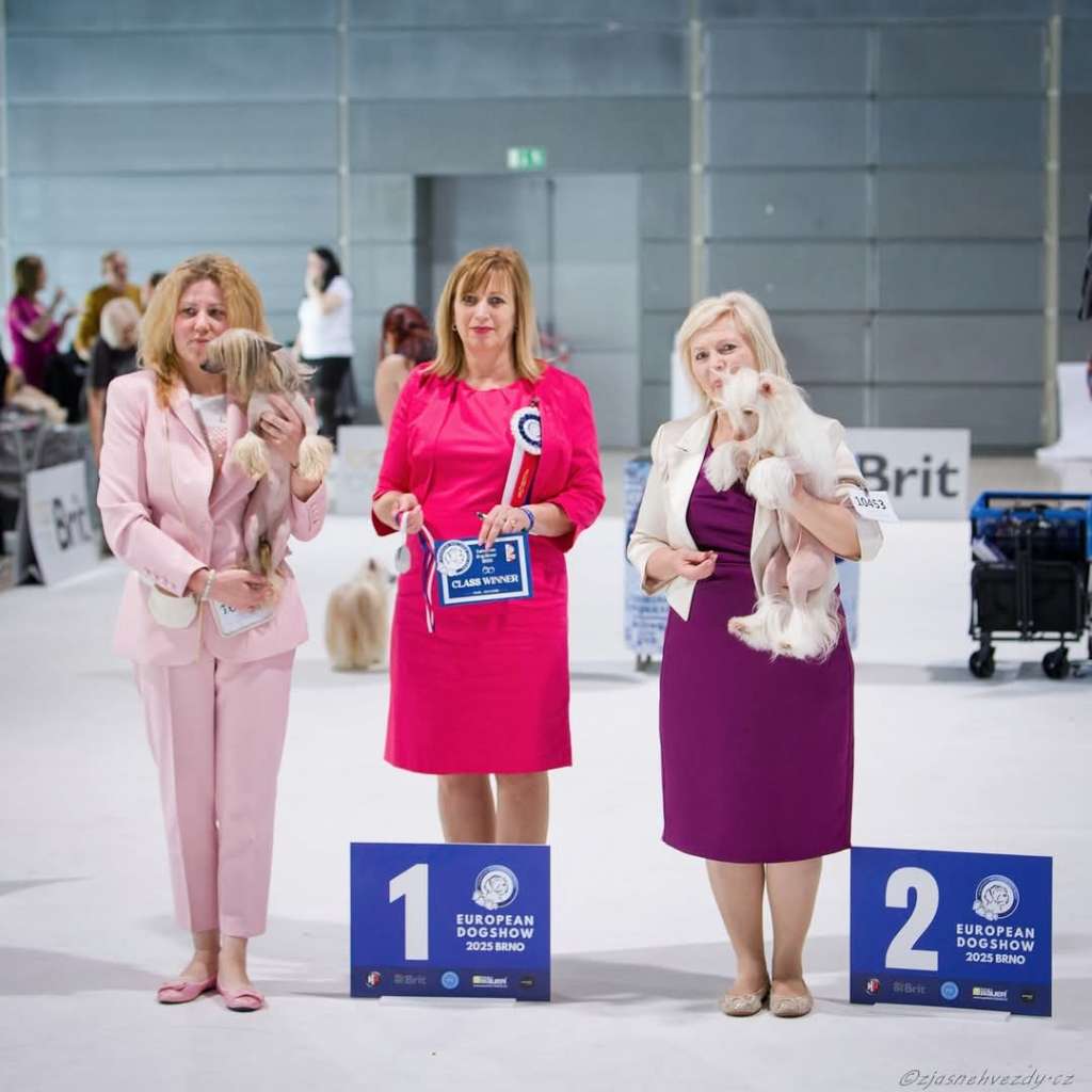 AkDeniz Jump Jump Baby