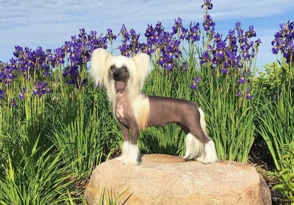 Arte Figure Happy Ending