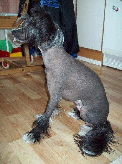 Pinky Twinky Gonna Be A Hero