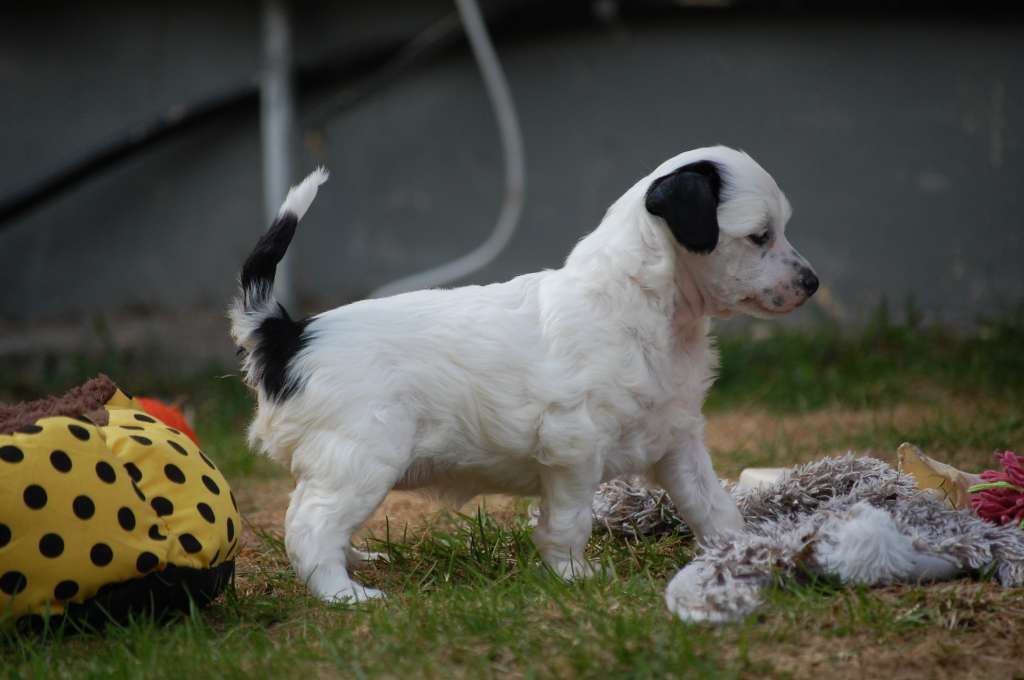 MhaLhi's Keep me all yours