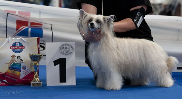 Bellinda Giovanni Maytay's Minng