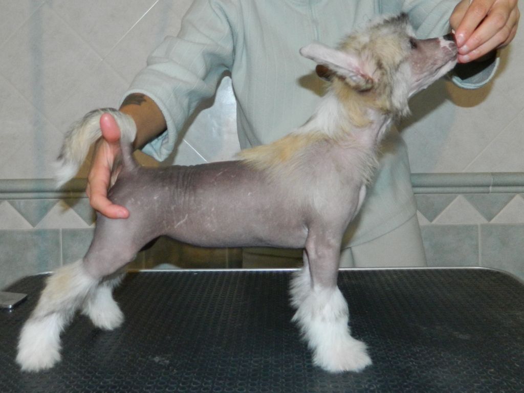 Megi Enlil Dio dell'Atmosfera