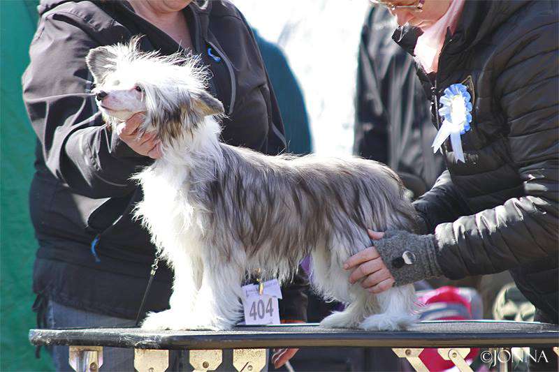Chattanooga's Valehtelisin Jos Väittäisin