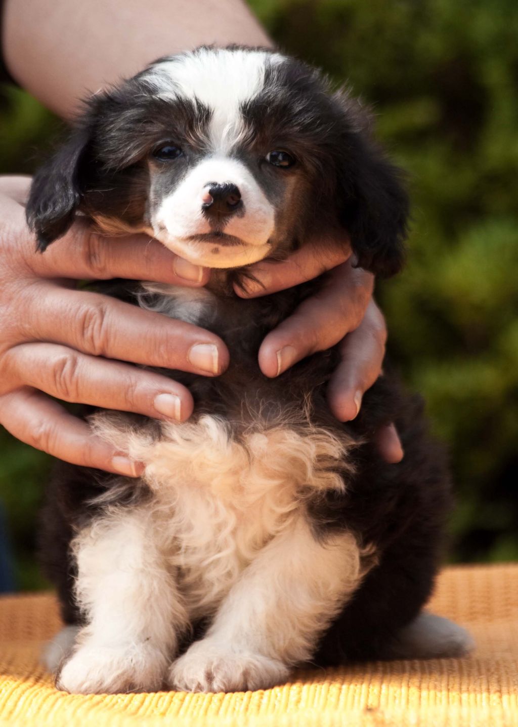 Cuba Libre De Gabritho