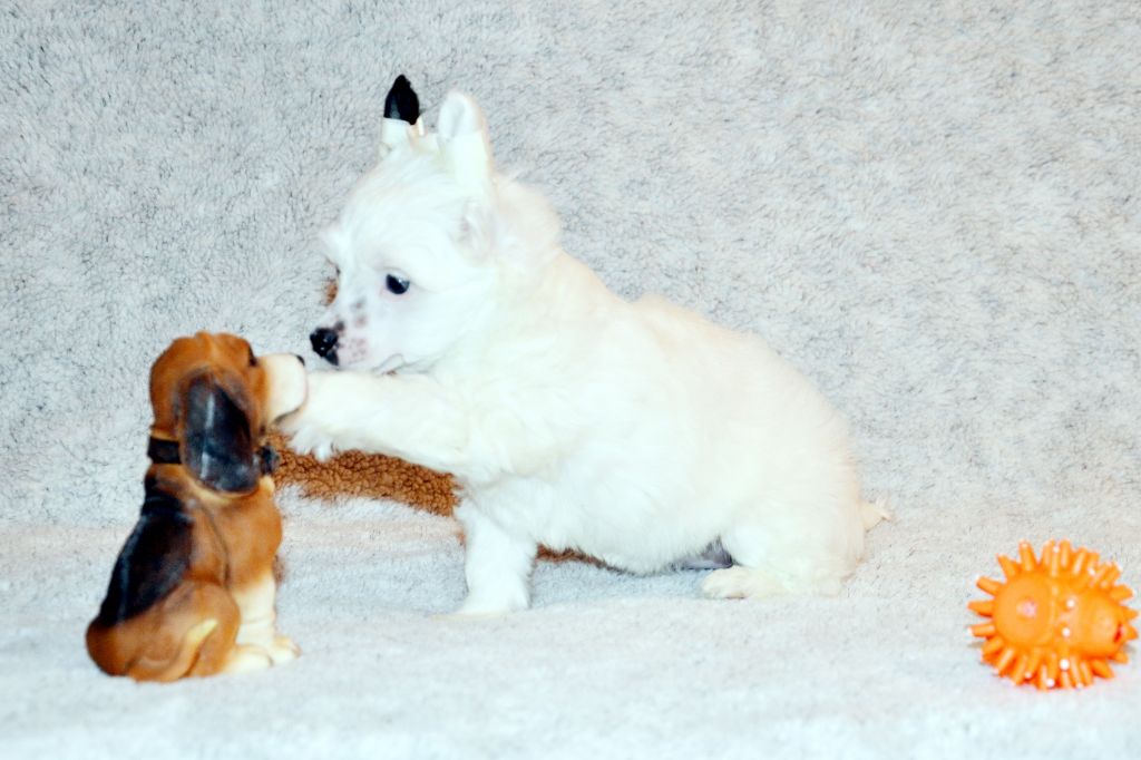 Ins Lucky Star Uslada