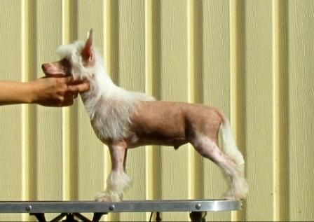 Secret Desire Almires