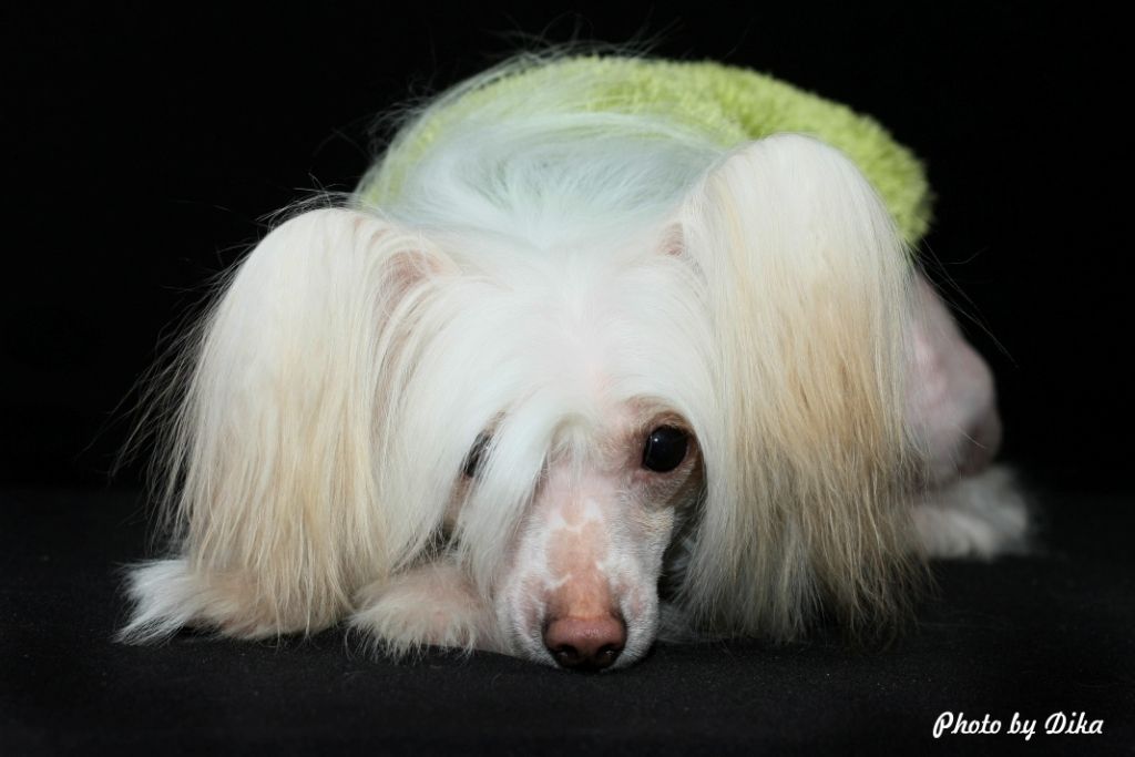 Yanisa Krasavica Kitaya